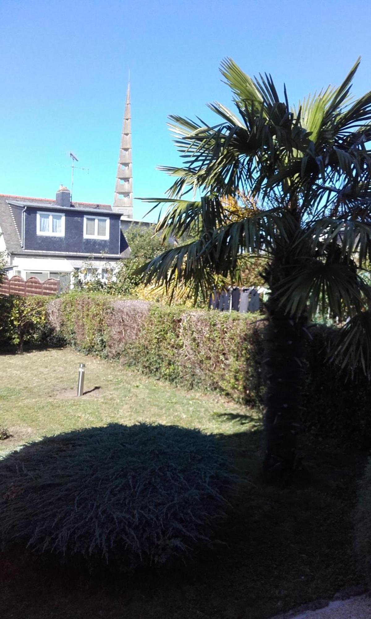 Apartment Les Palmiers