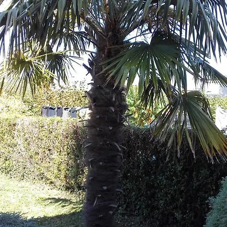 Gite Les Palmiers Guingamp Exterior foto